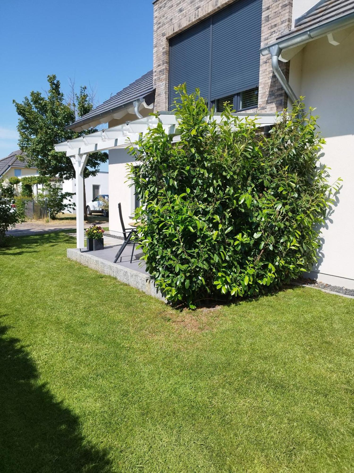 Fewo Treichel Koserow Exterior foto